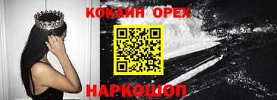 соль ск Новозыбков