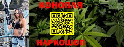 соль ск Новозыбков