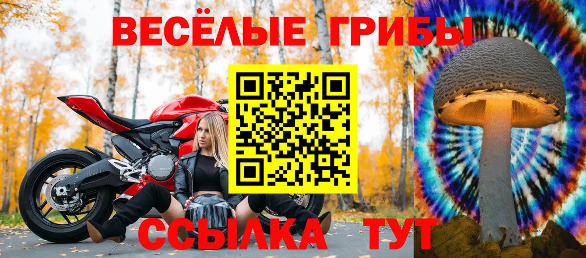Галлюциногенные грибы Psilocybine cubensis  Вход с VPN  Железногорск 