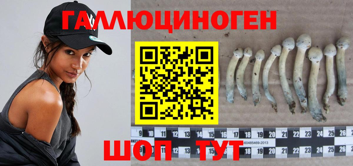 Галлюциногенные грибы мухоморы Железногорск